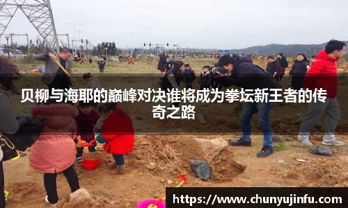 贝柳与海耶的巅峰对决谁将成为拳坛新王者的传奇之路