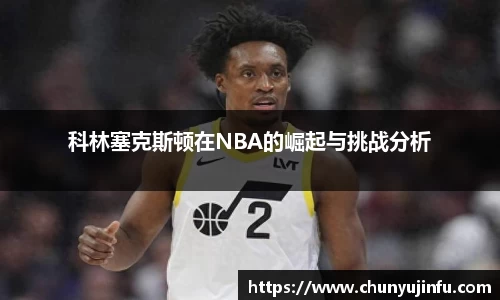 mk体育官网